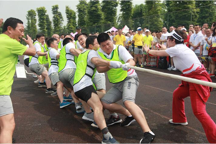 5d9c23067adb5.jpg 9.jpg